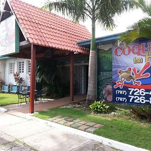 Coqui Inn